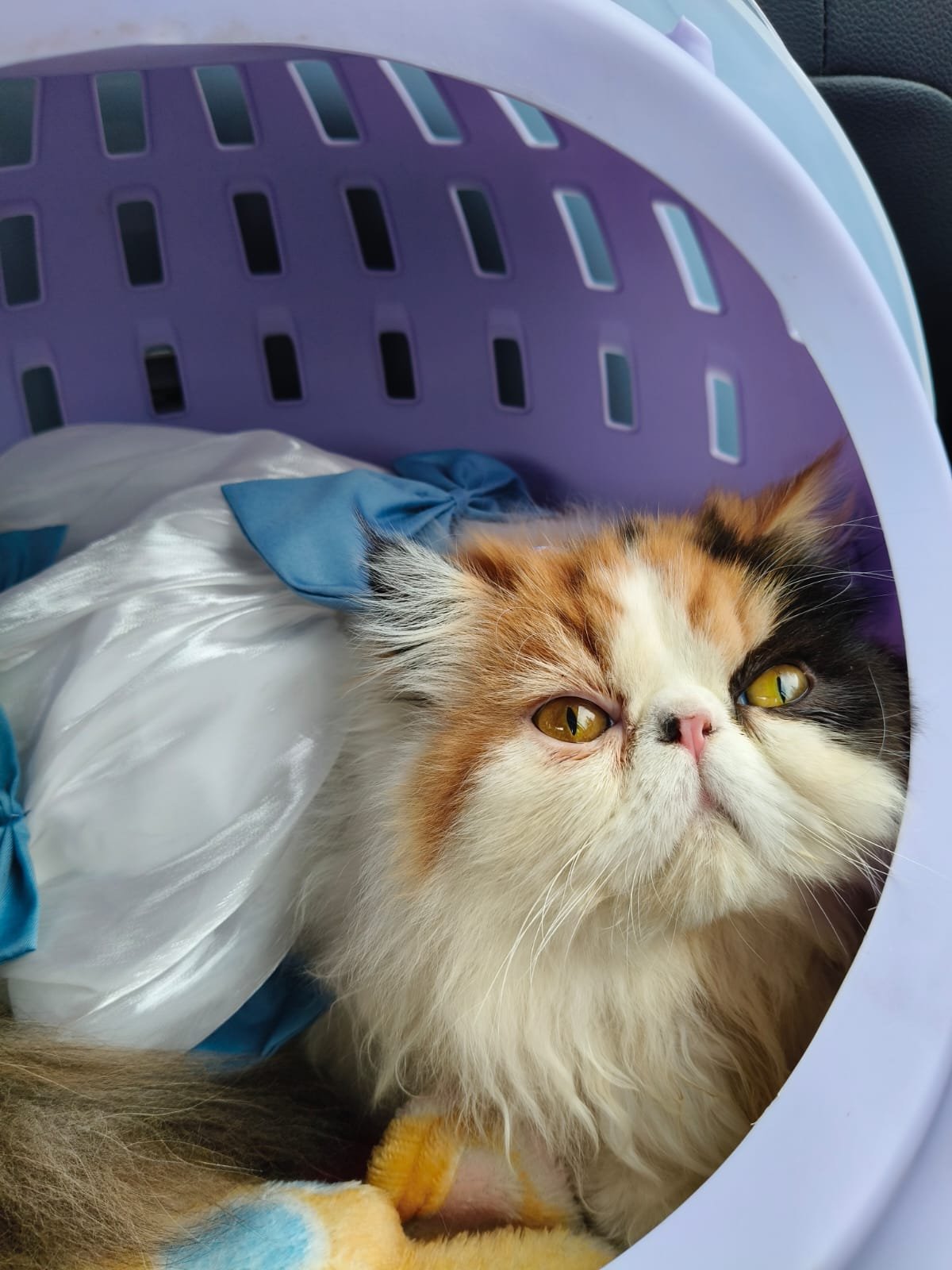 NUESTRO CLIENTES (10)