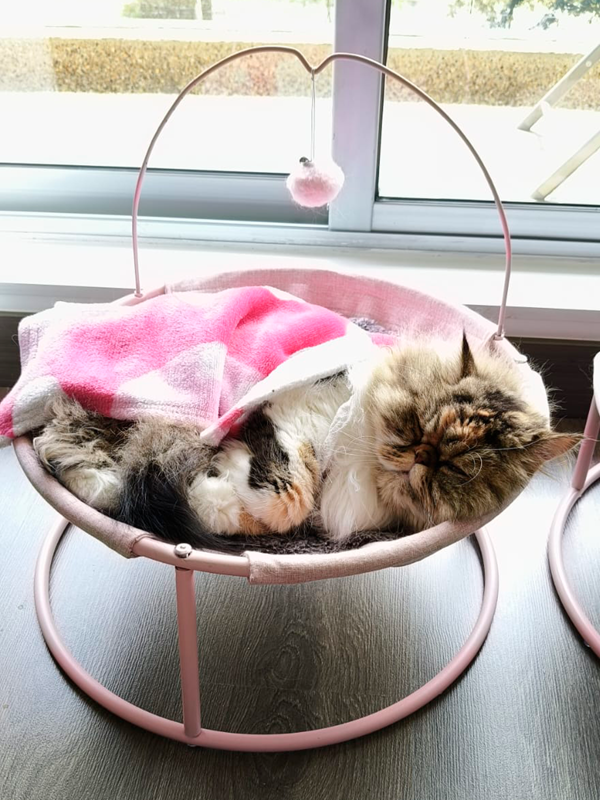 NUESTRO-CLIENTES--(10)