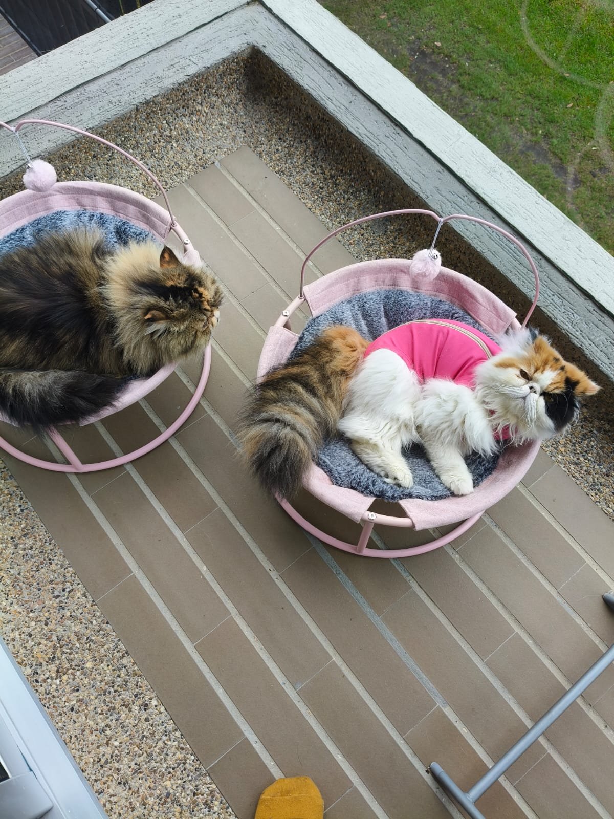 NUESTRO CLIENTES (13)