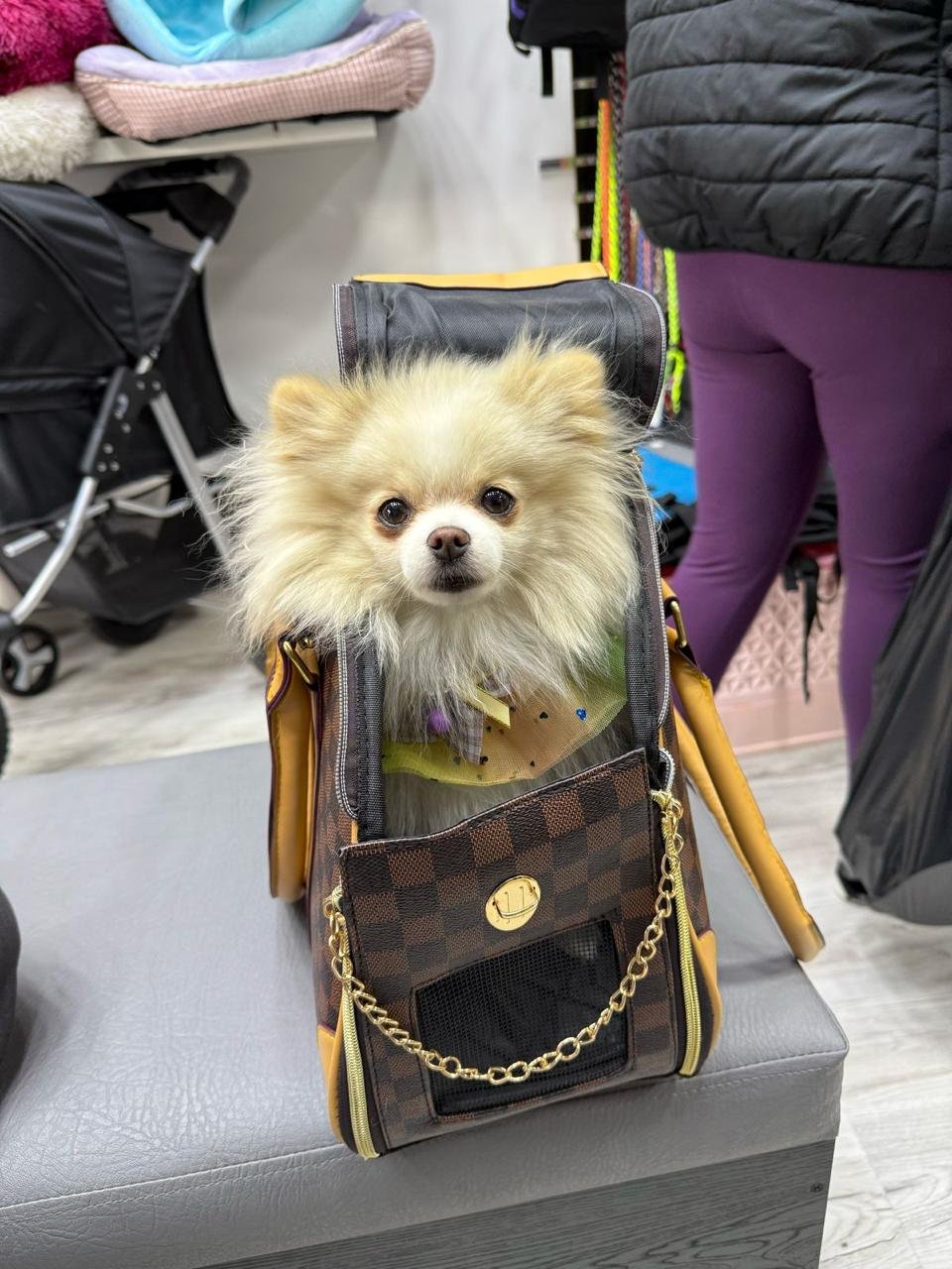 NUESTRO CLIENTES (21)