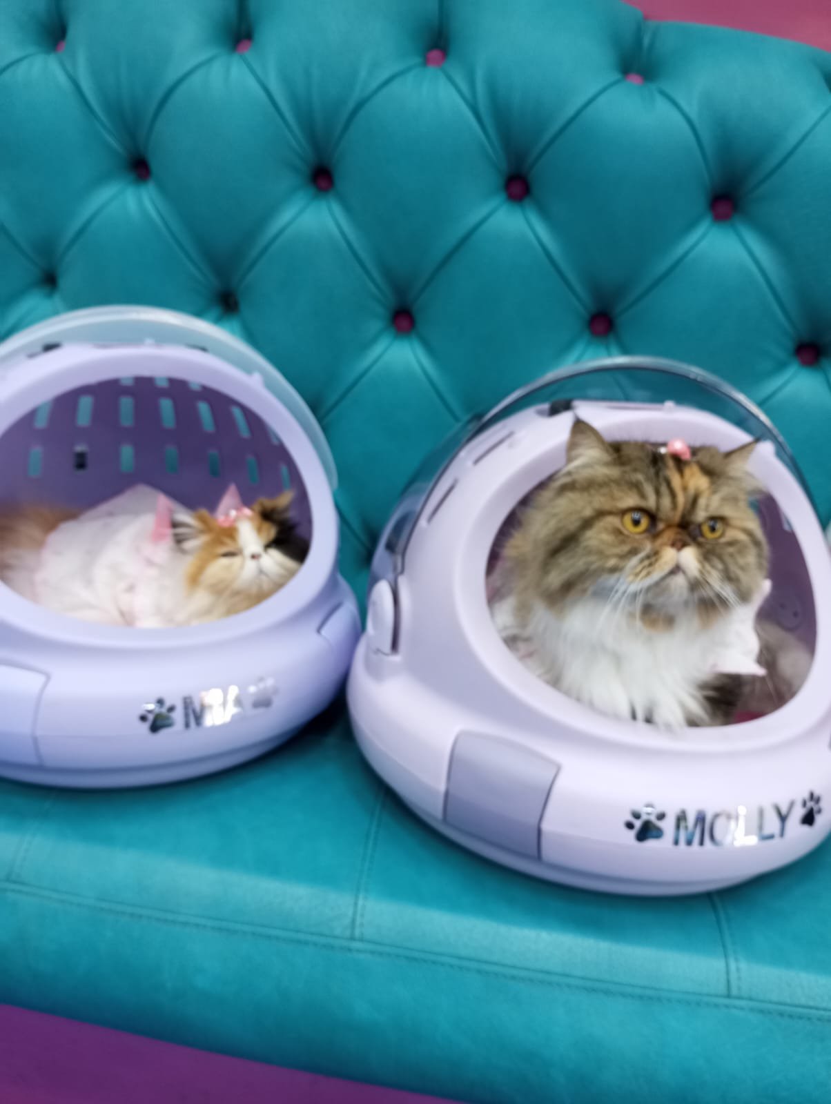 NUESTRO CLIENTES (3)