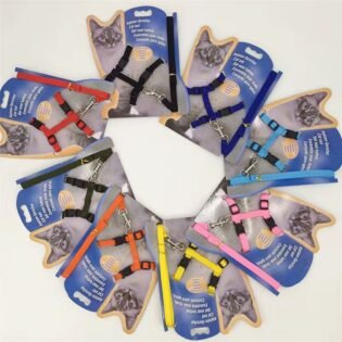 pechera-primeros-pasos