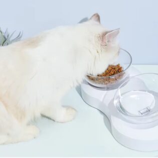 comedero-graduble-doble